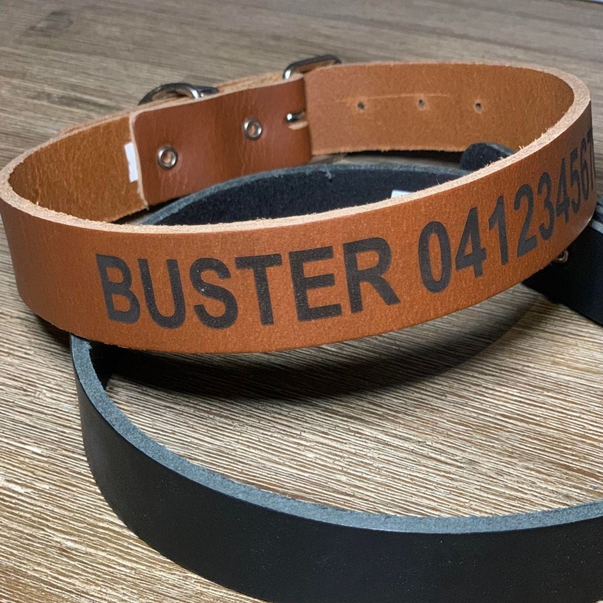 Custom pet collars sales australia