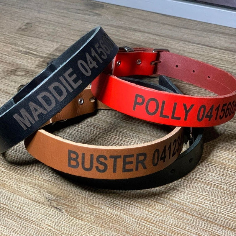 Stylish personalised dog collars leather for pet identification, handcrafted in Australia for comfort and durability.