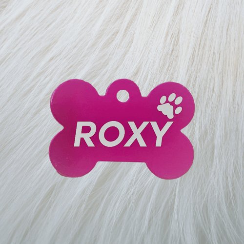 Engraved Pink Bone Pawzee Light Dog Tag - Pet ID Tags