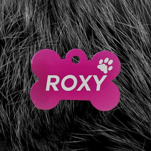 Pink Bone Pawzee Pet Tags pawzee Pet ID Tags 